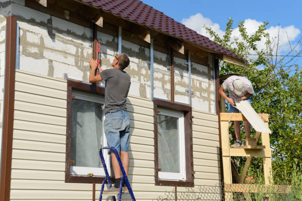 Best Aluminum Siding Installation  in Ste Genevieve, MO